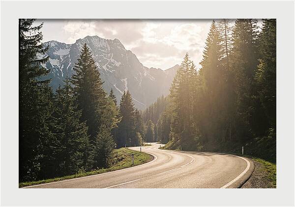 Winding Road Through Alpine Landscape