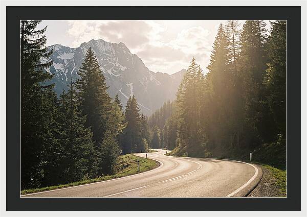 Winding Road Through Alpine Landscape