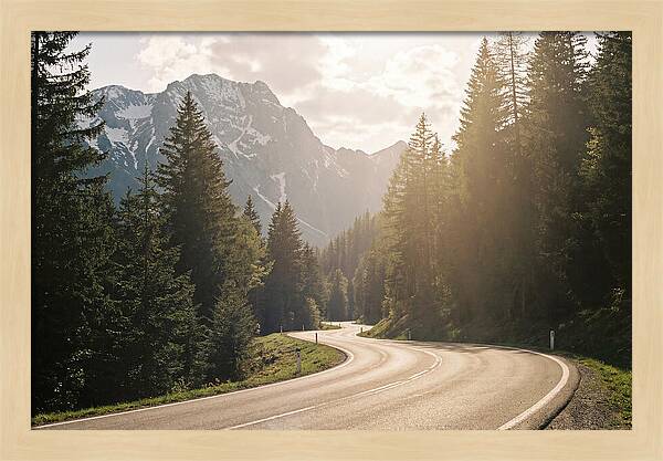 Winding Road Through Alpine Landscape