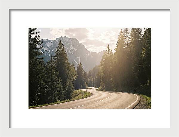Winding Road Through Alpine Landscape