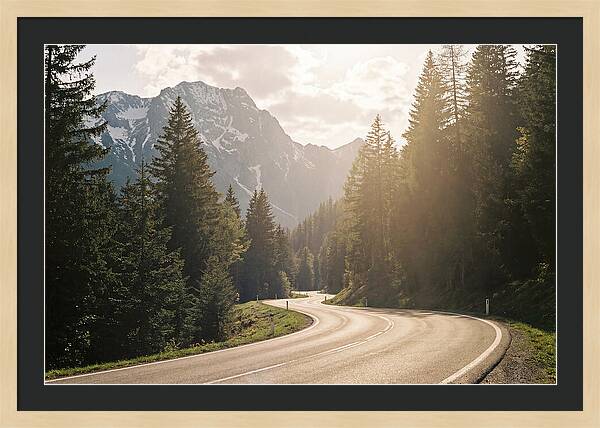 Winding Road Through Alpine Landscape