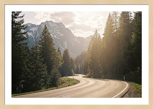 Winding Road Through Alpine Landscape