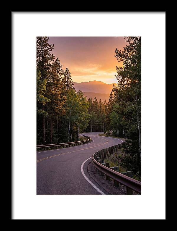 Winding Road Through Scenic Forest