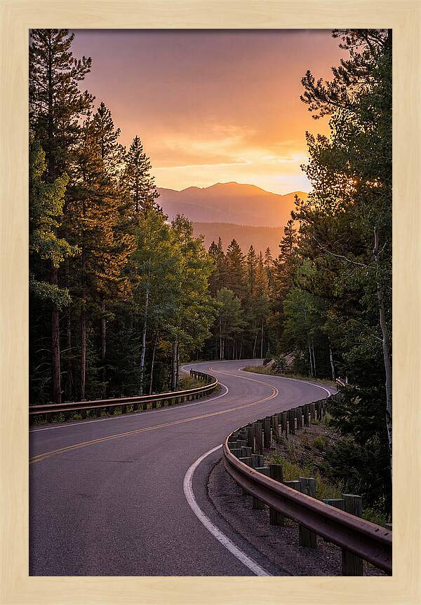 Winding Road Through Scenic Forest