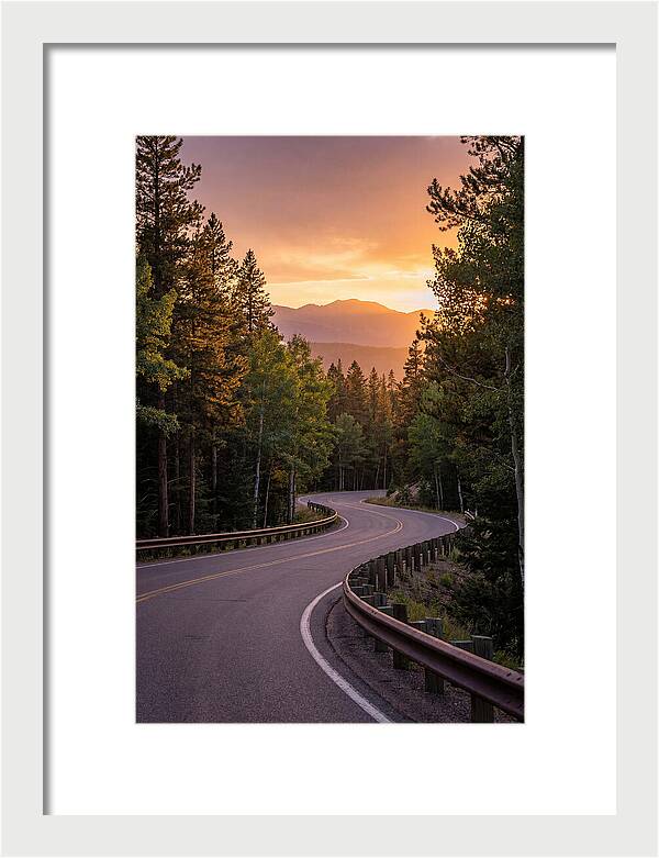 Winding Road Through Scenic Forest