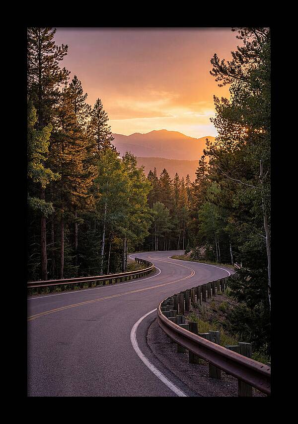 Winding Road Through Scenic Forest