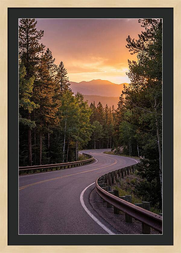 Winding Road Through Scenic Forest