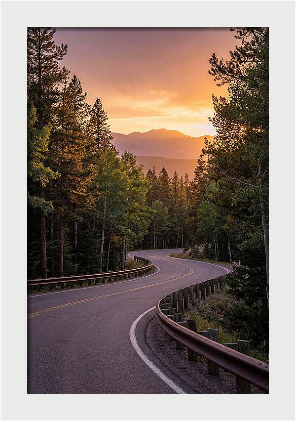 Winding Road Through Scenic Forest
