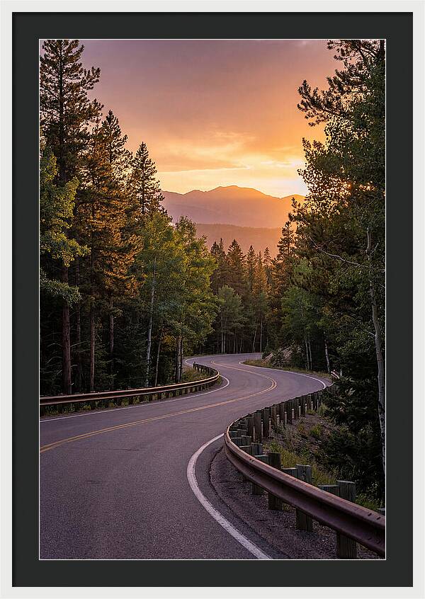 Winding Road Through Scenic Forest