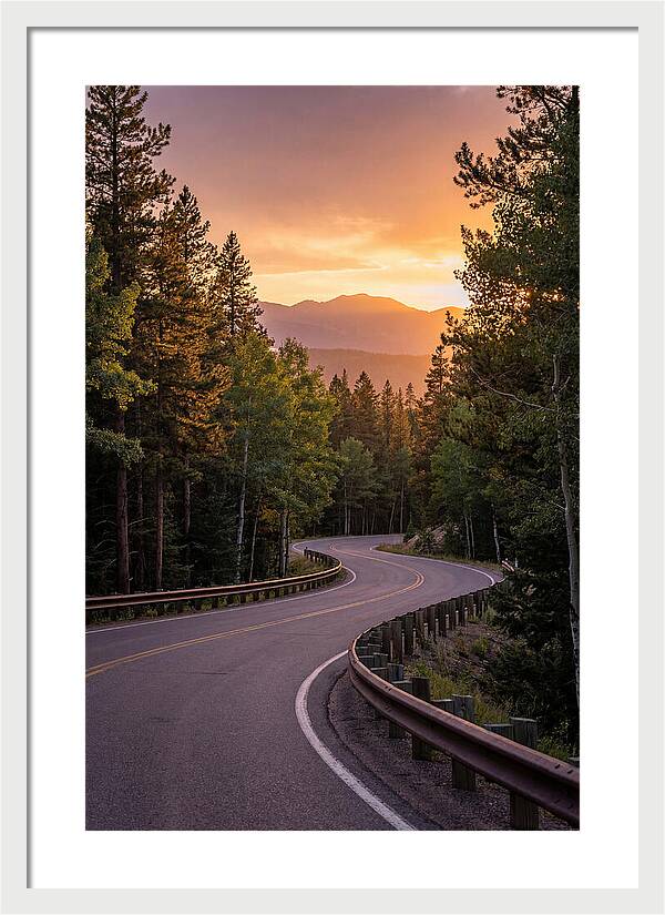 Winding Road Through Scenic Forest