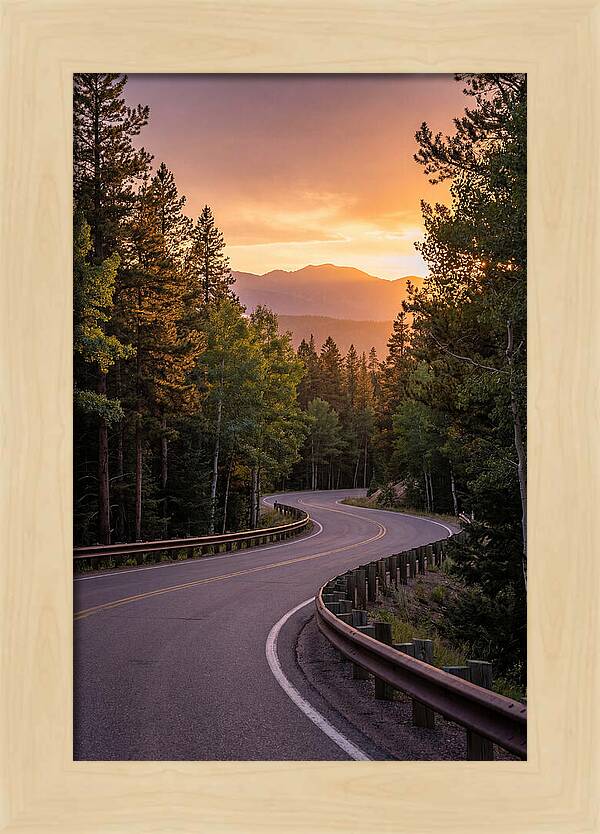 Winding Road Through Scenic Forest