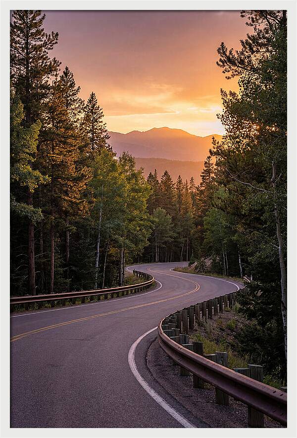 Winding Road Through Scenic Forest