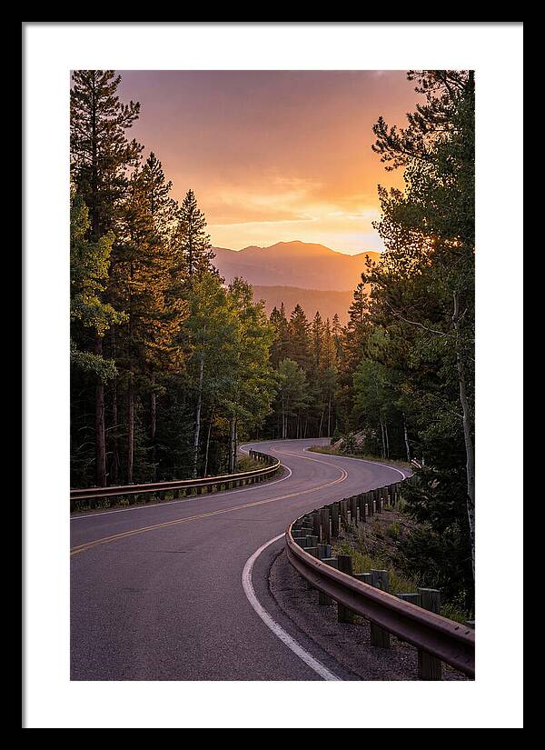 Winding Road Through Scenic Forest