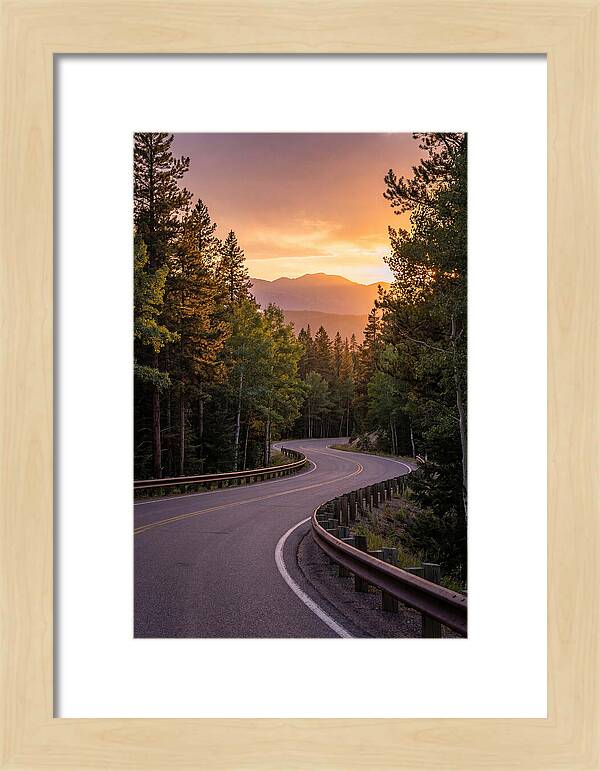 Winding Road Through Scenic Forest