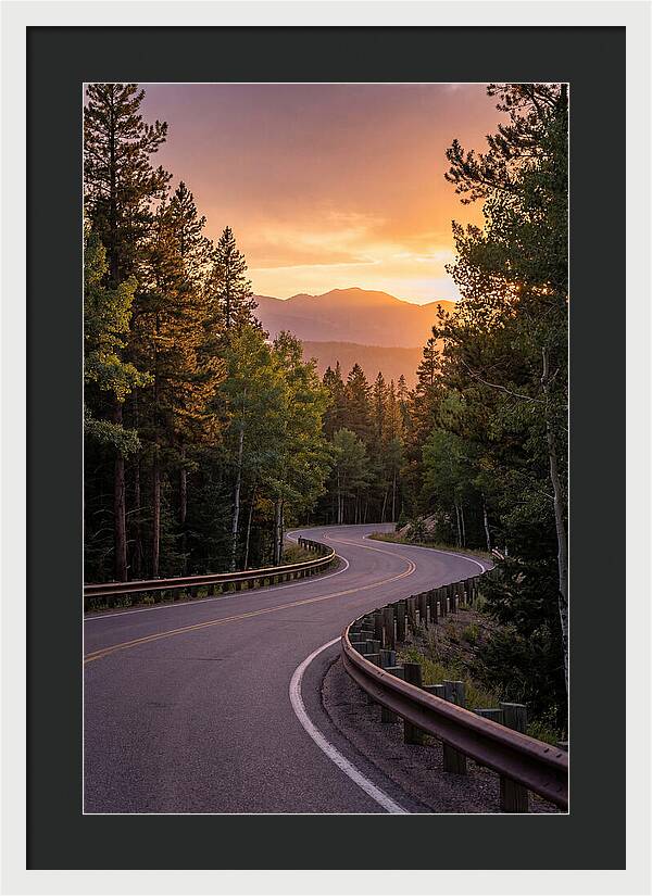 Winding Road Through Scenic Forest