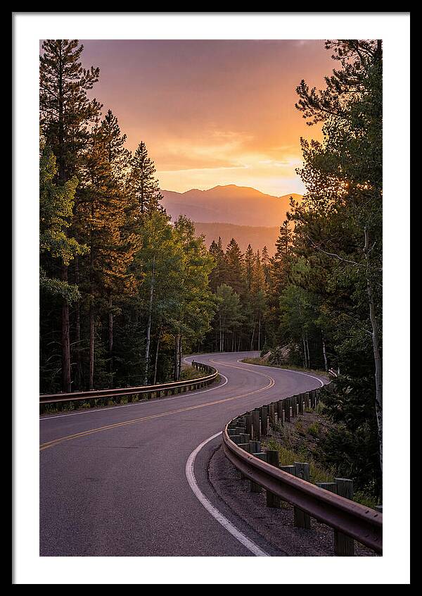 Winding Road Through Scenic Forest