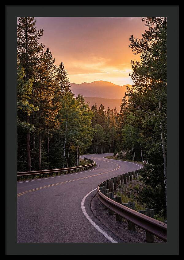 Winding Road Through Scenic Forest