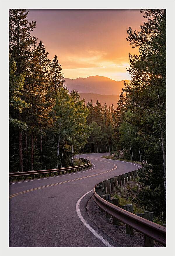 Winding Road Through Scenic Forest