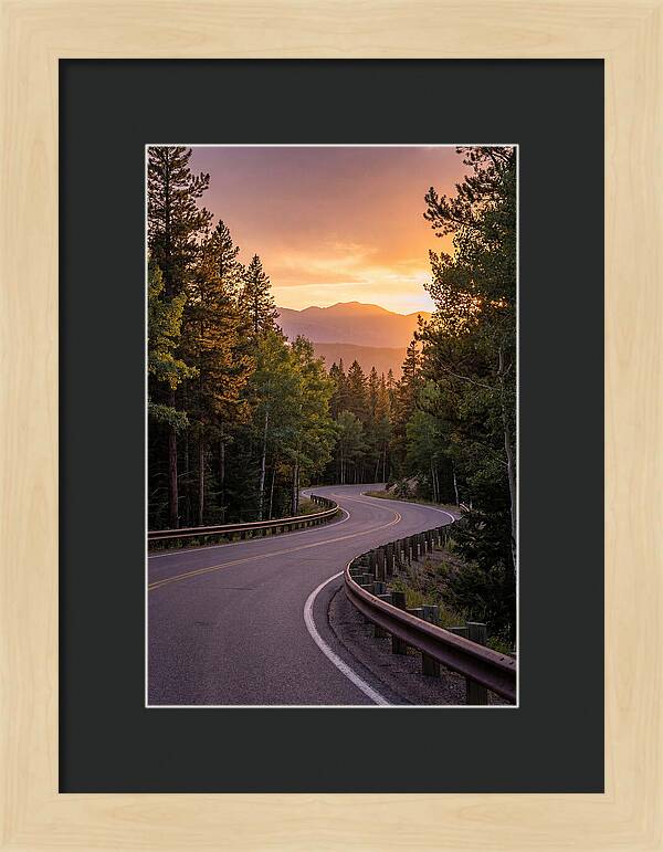 Winding Road Through Scenic Forest