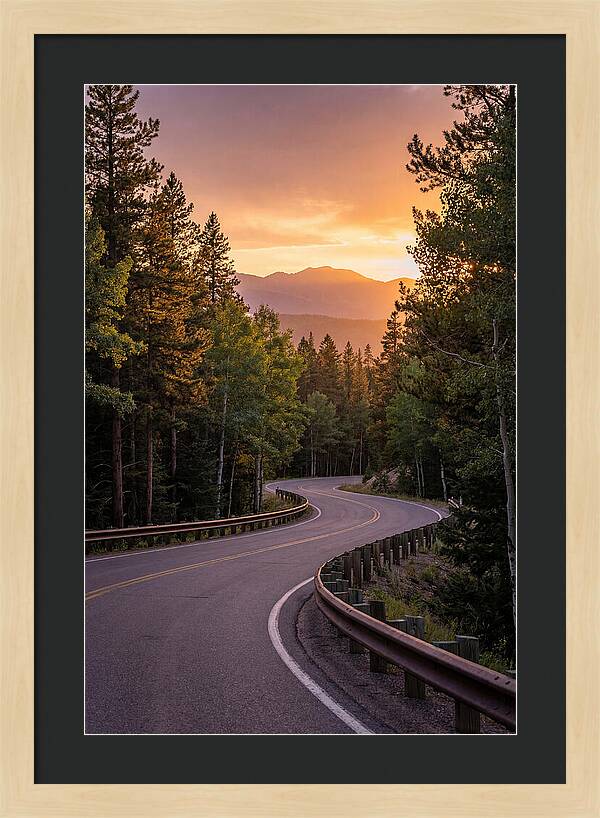 Winding Road Through Scenic Forest