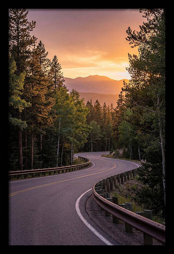 Winding Road Through Scenic Forest