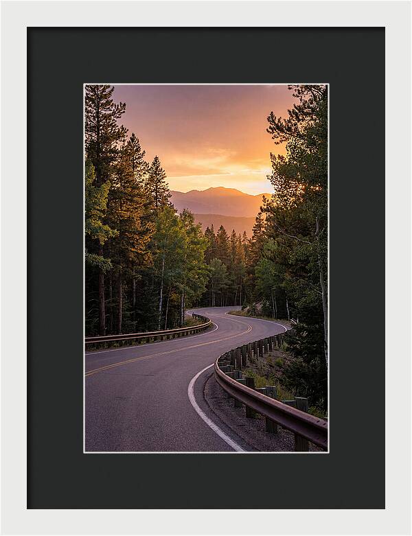 Winding Road Through Scenic Forest