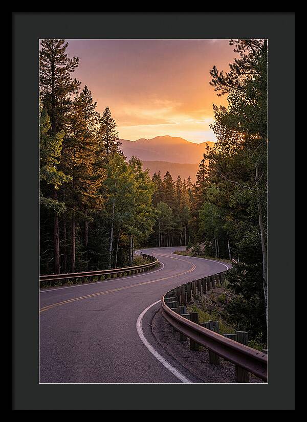 Winding Road Through Scenic Forest