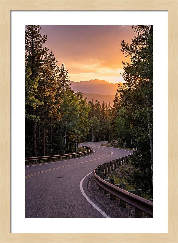 Winding Road Through Scenic Forest