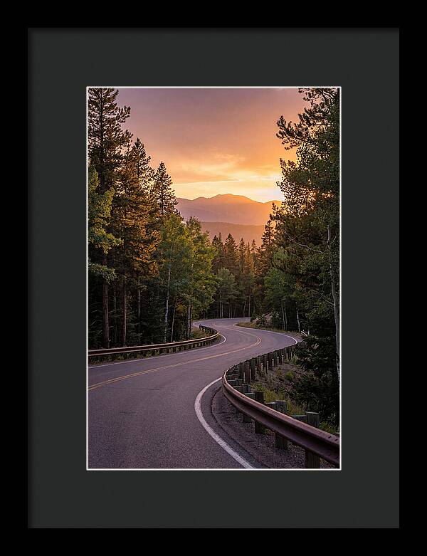 Winding Road Through Scenic Forest