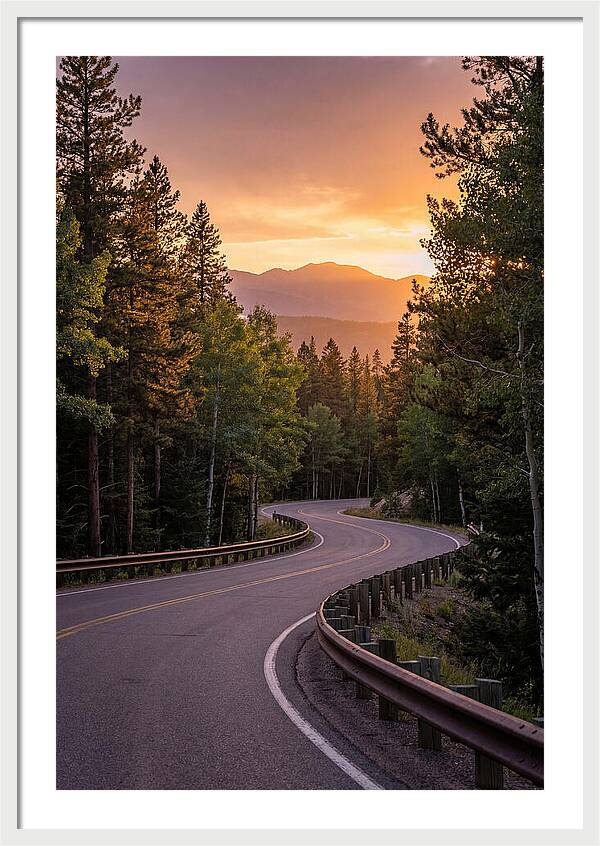 Winding Road Through Scenic Forest