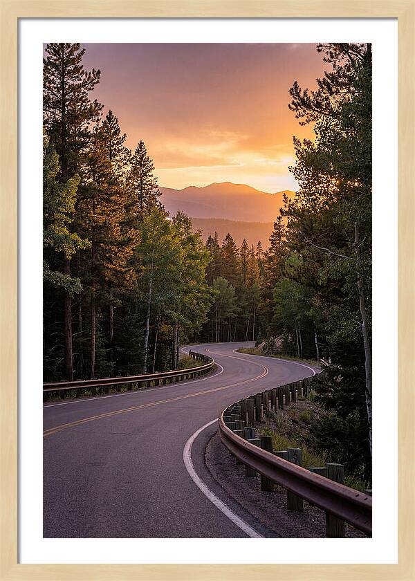 Winding Road Through Scenic Forest