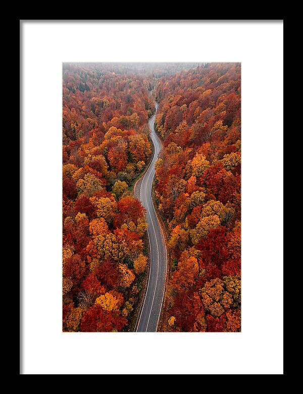 Winding Through Autumn Colors