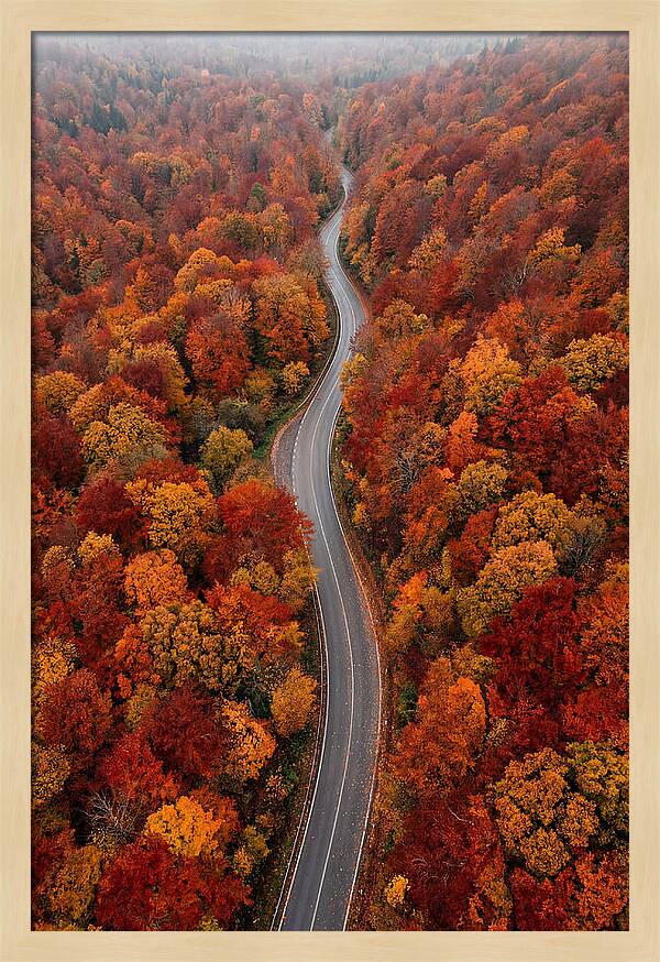 Winding Through Autumn Colors