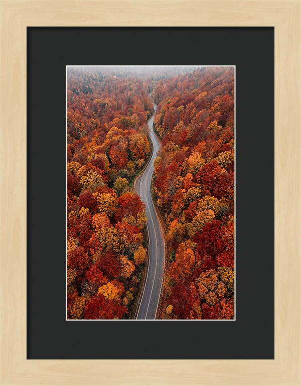 Winding Through Autumn Colors