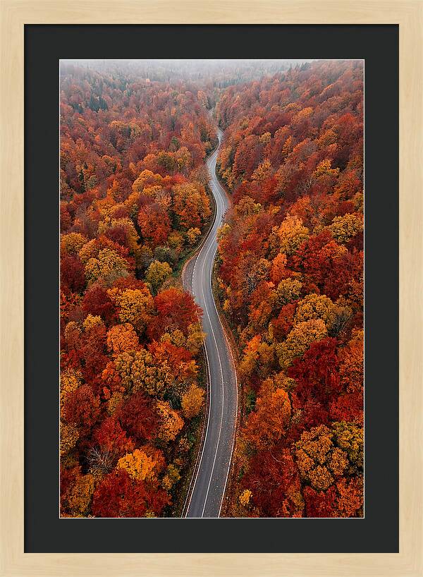 Winding Through Autumn Colors