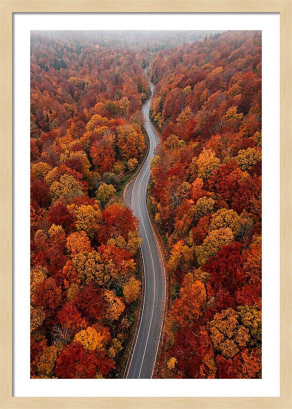 Winding Through Autumn Colors
