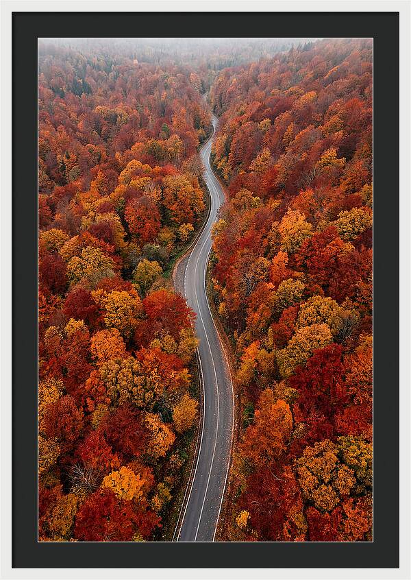 Winding Through Autumn Colors