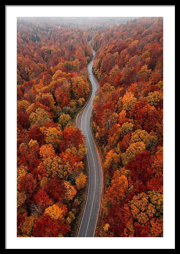 Winding Through Autumn Colors