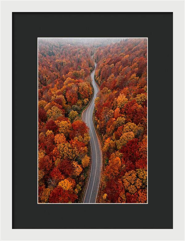 Winding Through Autumn Colors