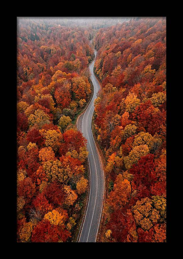 Winding Through Autumn Colors