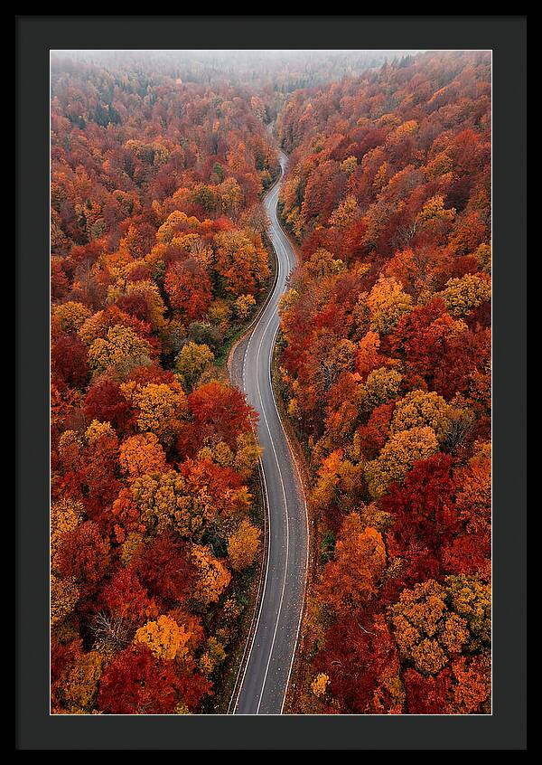 Winding Through Autumn Colors