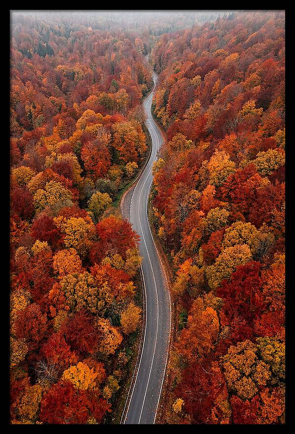 Winding Through Autumn Colors