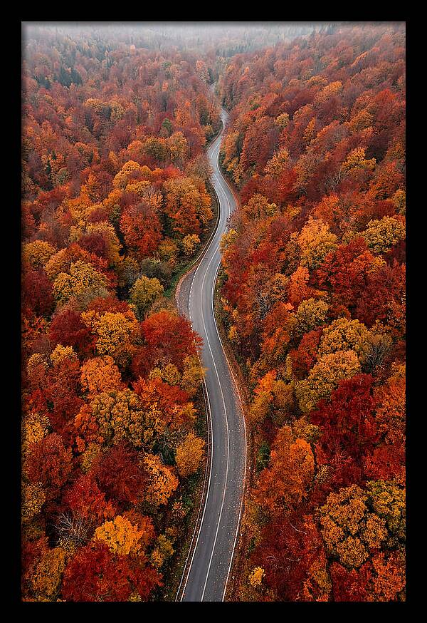 Winding Through Autumn Colors