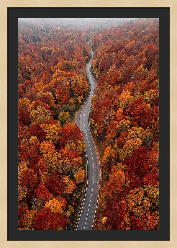 Winding Through Autumn Colors
