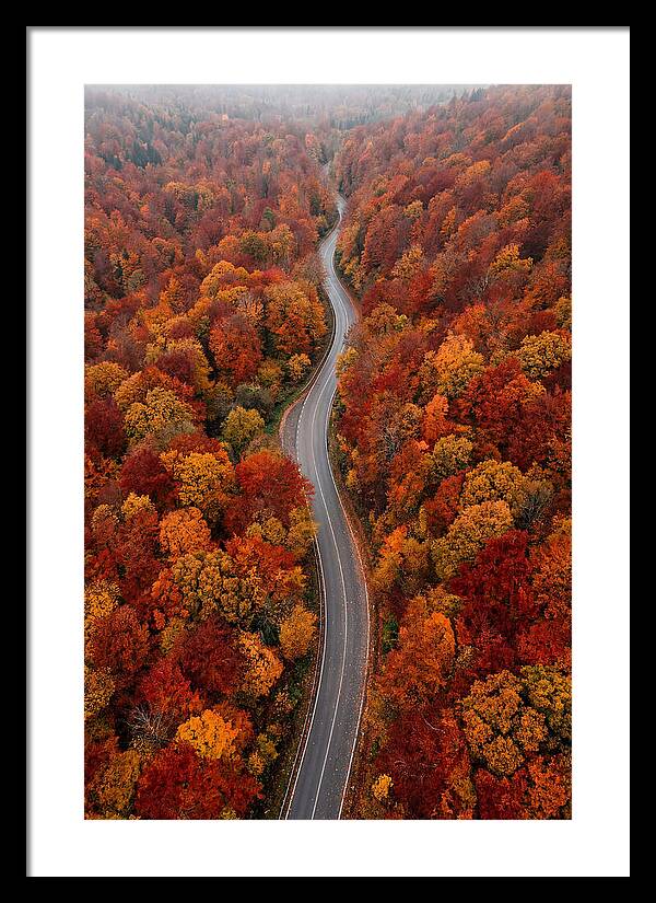 Winding Through Autumn Colors