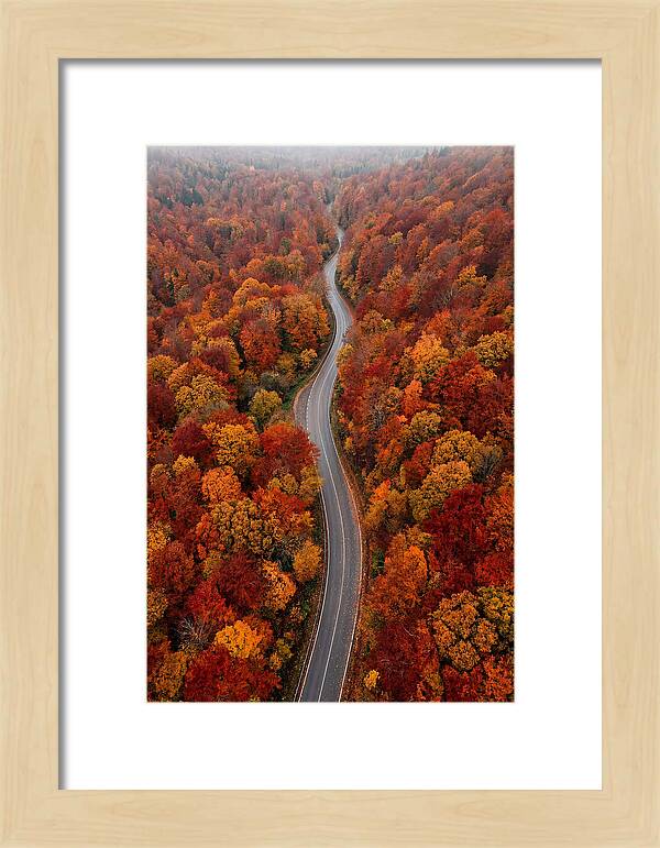 Winding Through Autumn Colors