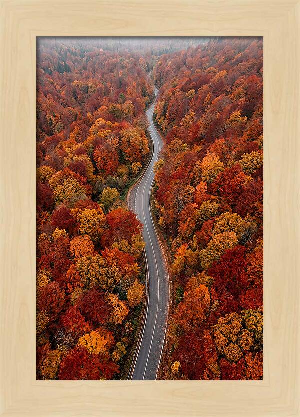 Winding Through Autumn Colors