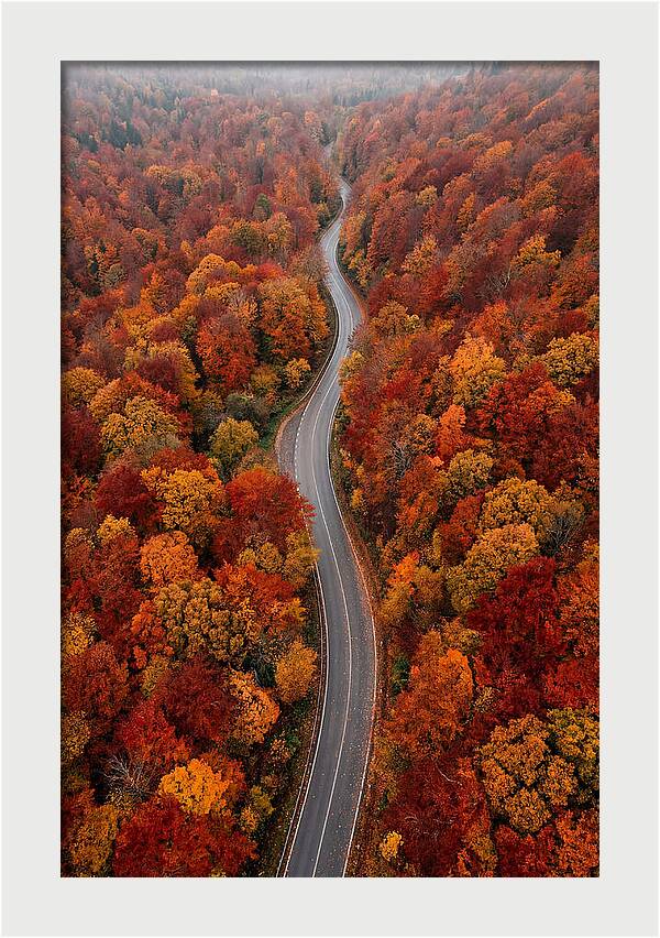 Winding Through Autumn Colors