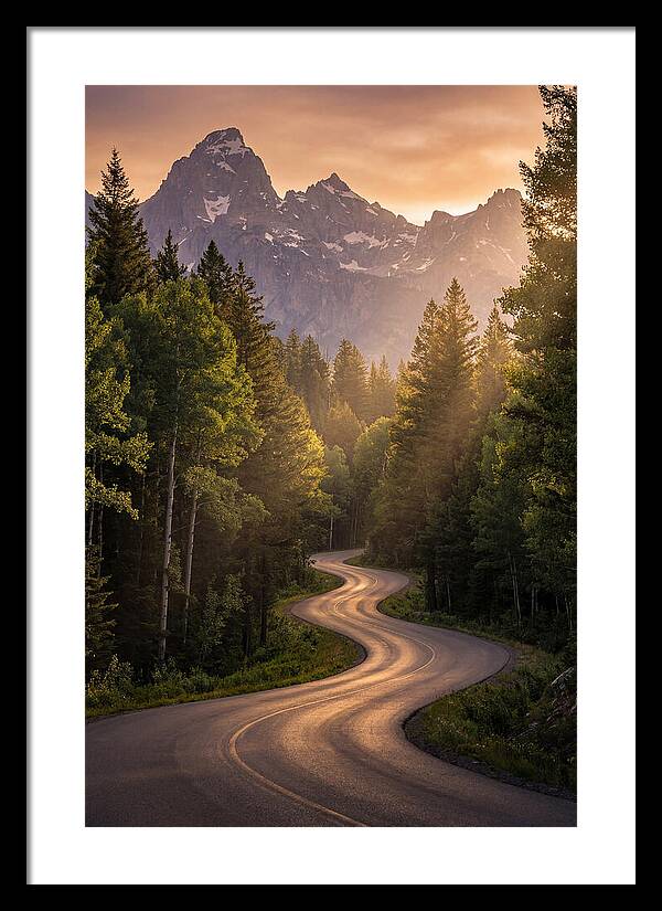 Winding Through Natures Embrace