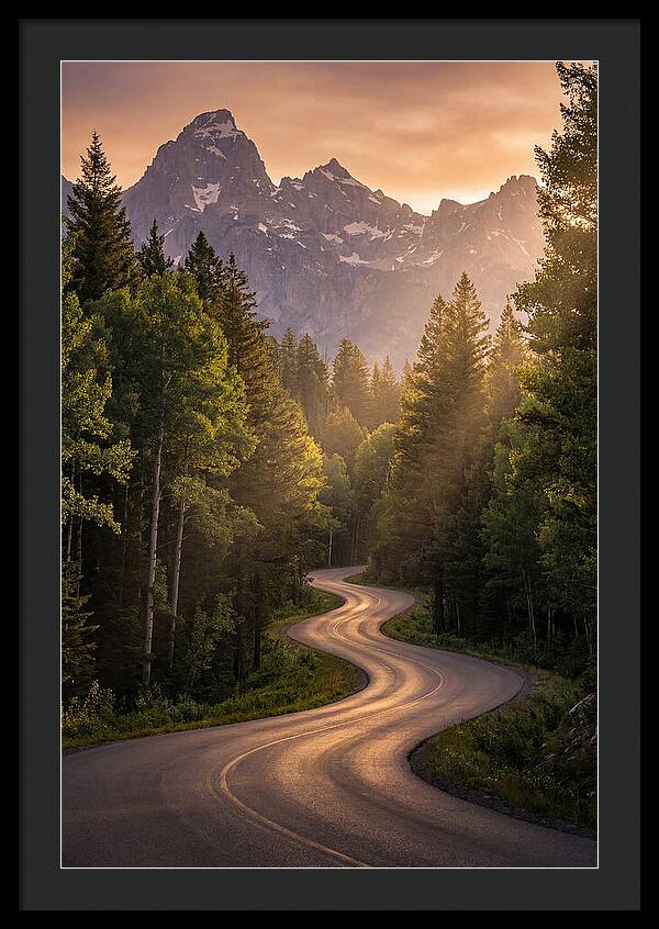 Winding Through Natures Embrace